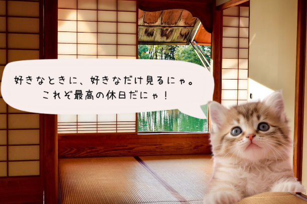 猫と吹き出し